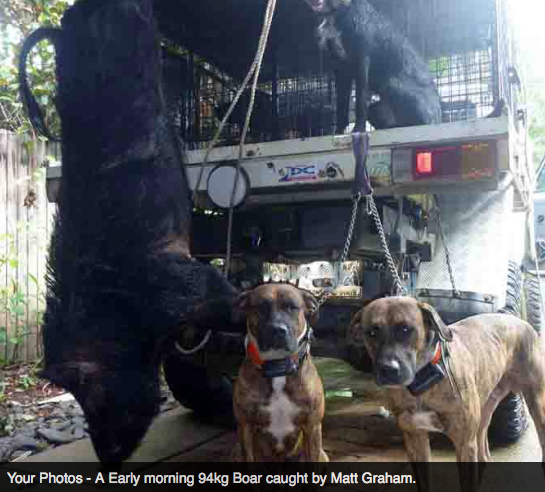 Screen Shot 2013-10-02 at 1.34.40 PM